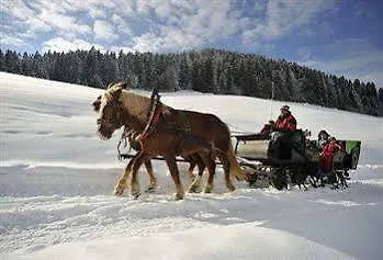 Hotel Reisch 4*